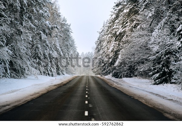 Winter forest and Auto\
road