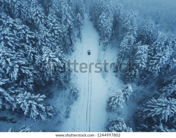 Winter Forest With Car On Road\
And Trees In Snow Aerial View, Nature Landscape With Snowy\
Pines