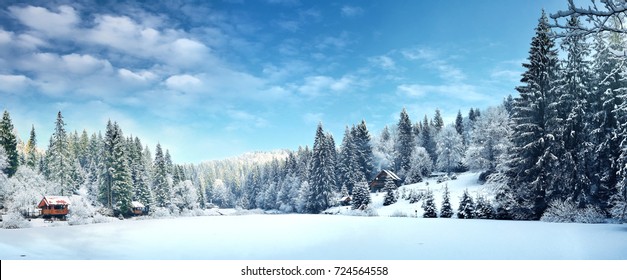 Winter forest in the Carpathians on Lake Vito - Powered by Shutterstock