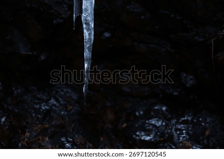 Winter forest cave, icicles that look cold as ice