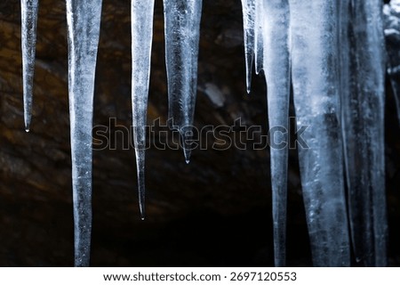 Winter forest cave, icicles that look cold as ice