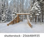 Winter forest in cold weather. Ecotrail in a snowy winter forest. Log entrance, gate to the forest.