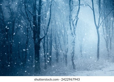 winter forest fantasy background with snow flakes - Powered by Shutterstock