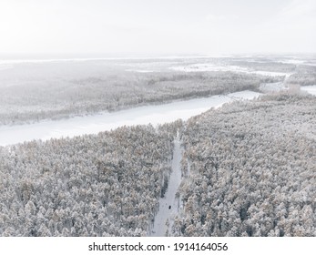 Winter forest with frosty trees, aerial view.