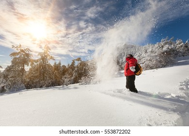 Winter forest landscape.