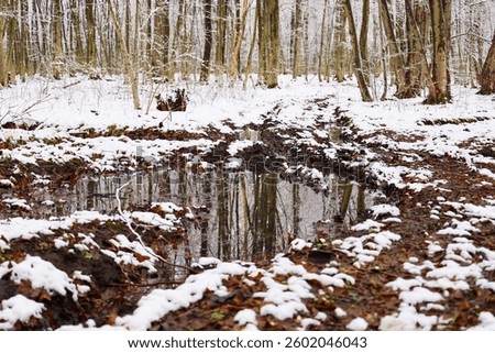 Winter forest landscape with a large puddle reflecting the trees. Snow lies on the ground, revealing patches of brown earth and fallen leaves. Trees stand close together in the background. The