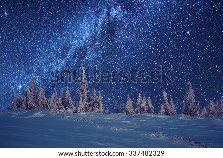 Similar – Image, Stock Photo winter dream Winter firs