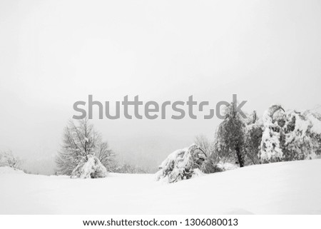 Similar – Image, Stock Photo Wwwwchsch Nature Landscape