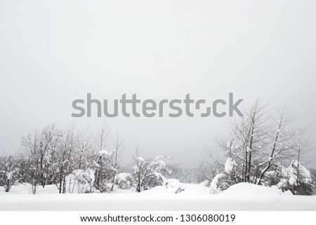 Similar – Image, Stock Photo Wwwwchsch Nature Landscape