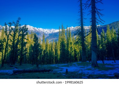 Winter Forest In The Mountains. Scenic Colourful View Of Himalayan Mountains On The Winter Trek To Kedarkantha, Uttarakhand, India.