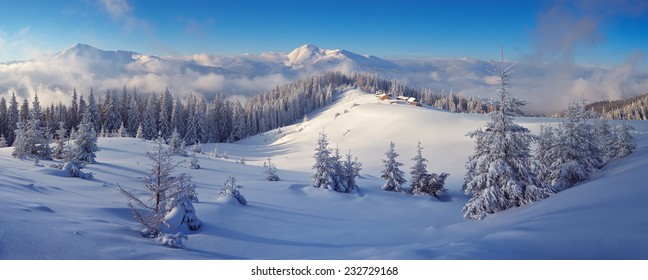 Winter Forest In Mountains. Snow On The Trees. Christmas Landscape 