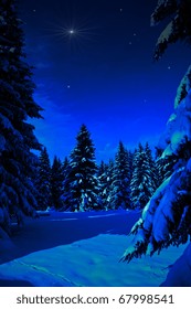 The Winter Forest, Night Scene. Snowy Landscape.