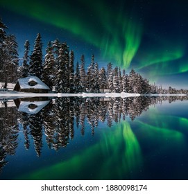 Winter forest at at night under the northern lights. Sweden