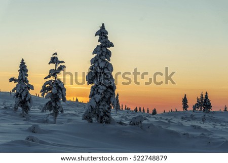 Similar – Image, Stock Photo Evening impression on the mountain