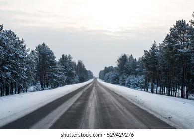 Winter Forest Road Day