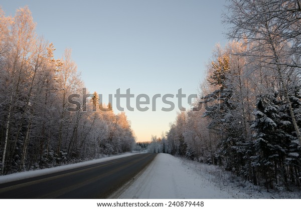 Winter forest road\
in a magical winter\
light