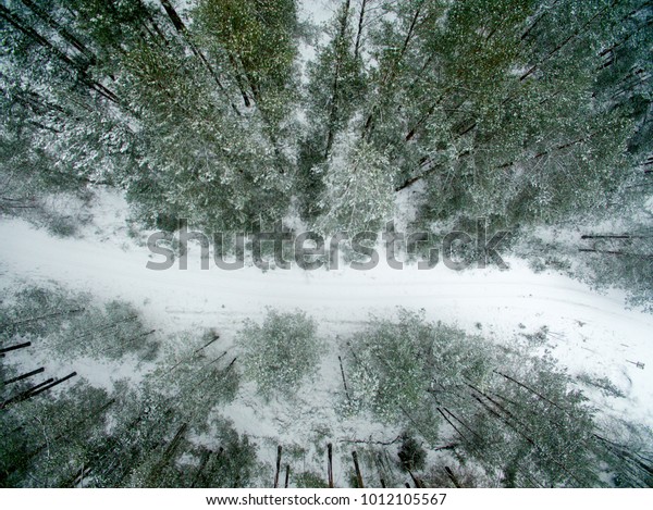 Winter\
forest and road. View from above. The photo was taken with a drone.\
Pine and spruce forest with a road in the\
snow.