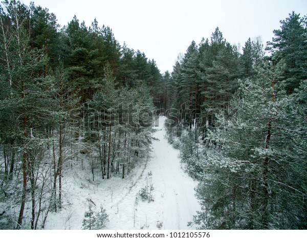 Winter
forest and road. View from above. The photo was taken with a drone.
Pine and spruce forest with a road in the
snow.