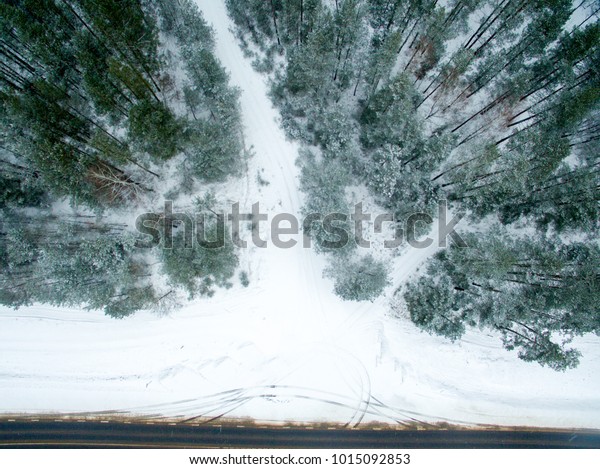 Winter forest and\
road. View from above. 