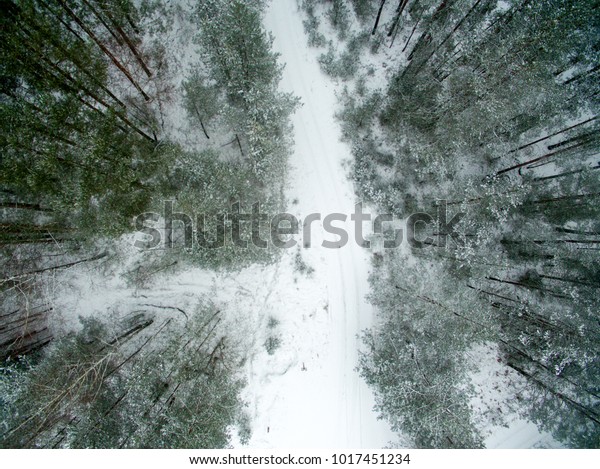 Winter\
forest and road. View from above. The photo was taken with a drone.\
Pine and spruce forest with a road in the\
snow.