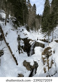 Winter forest with a small stream