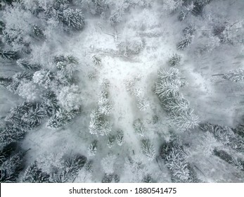 Winter Forest With Snowy Trees, Aerial View. Winter Nature, Aerial Landscape, Trees Covered White Snow