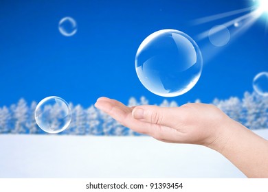 Winter forest. Soap bubbles on a palm. Nature