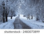 Winter forest in the South Park in Sofia, Bulgaria. Beautiful snowy scenery in the park. Seasonal changes and cold weather. Natural background with snow-covered trees.