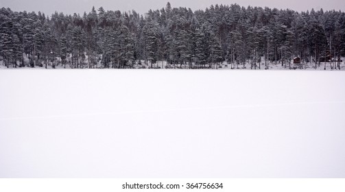 Winter forest with strong snowstorm - Powered by Shutterstock