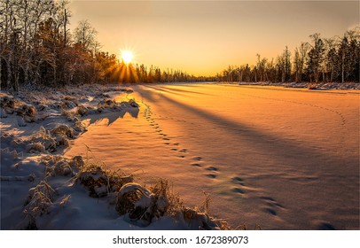 Winter forest at sunset sunlight - Powered by Shutterstock