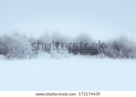 Similar – Image, Stock Photo powder forest Environment