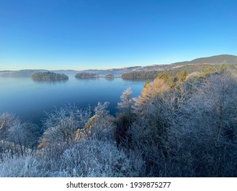 Winter Forest At Troldhaugen Norway