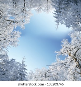 Winter Frame Of Trees Covered By Snow