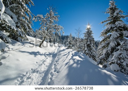 Similar – winter walk Nature