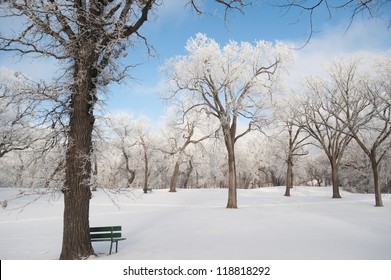 Winter Frost In Winnipeg, Canada