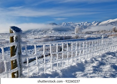 Winter Frosted Landscape, Wasatch Mountains Utah