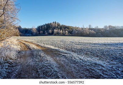 Winter frozen countryside dirt road with frozen  field trees and grass - Powered by Shutterstock