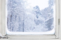 Winter Frozen Window. White Old Wooden Frame. Forest Outside The Window