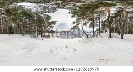 Winter full spherical seamless panorama 360 degrees angle view on road in a snowy park with gray pale sky near frozen lake in equirectangular projection. VR AR content