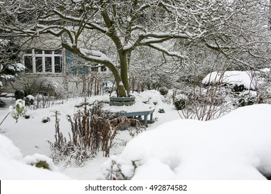 Winter In The Garden