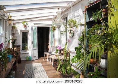 Winter Garden With Lots Of Plants. Space In The House For Relaxation With Flowers. Gardening, Veranda In Rustic Style