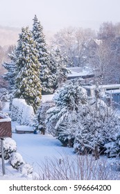 Winter Garden With Snow