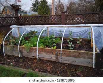 Winter Gardening Poly Tunnel 