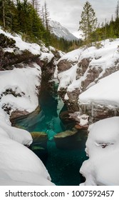 Winter In Glacier National Park