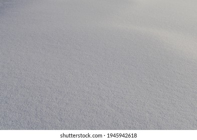 Winter Glade With Large And Deep Snow.