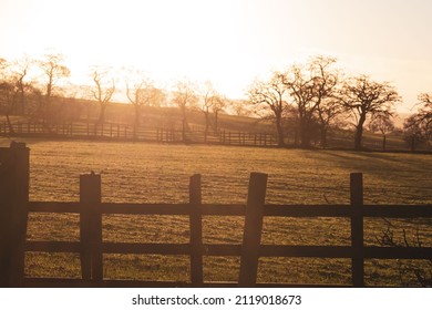 Winter Golden Sunset Over Farm Field With Wooden Fence And Bare Trees In The Distance