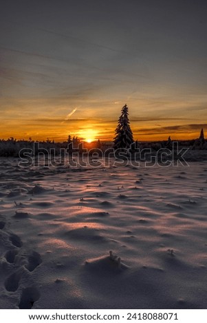 Winter in the High Fends