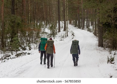 Winter hike in Lithuania - Shutterstock ID 567855850