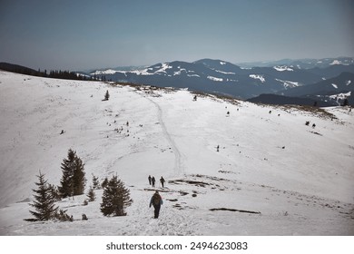 Winter Hikers Trekking Through Snow-Covered Mountains in Bright Sunshine During Late Afternoon. Hiking in Carpathian Mountains, Ukraine - Powered by Shutterstock
