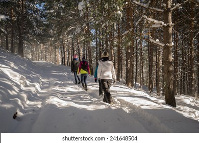 Winter Hiking